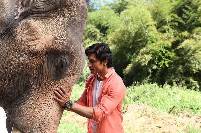 Junglee Movie Review