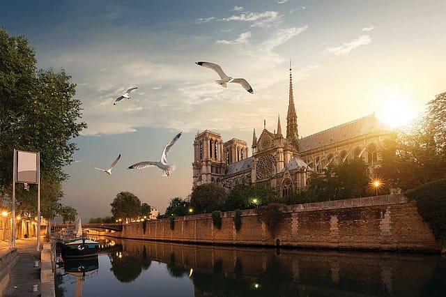 Notre-Dame: Cathedral of the World Notre-Dame: Cathedral of the World