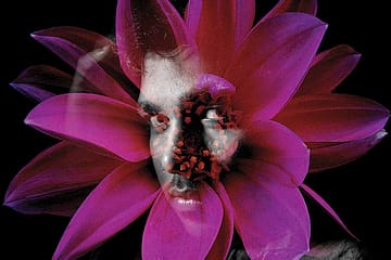 The Politics of Desire