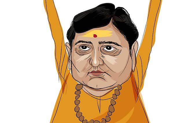 The Soldier Sadhvi