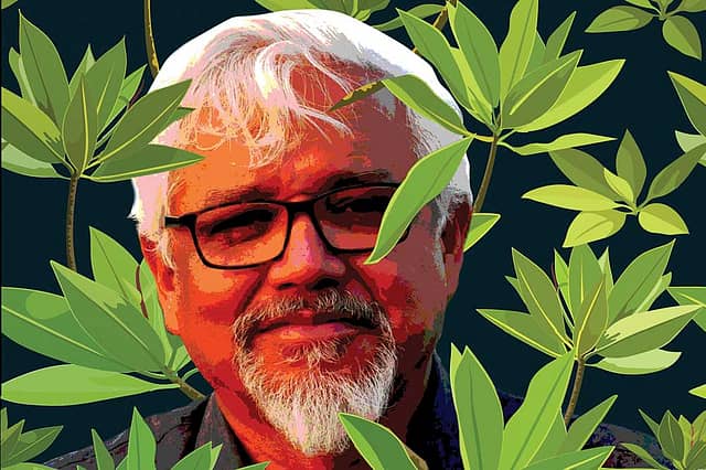 Amitav Ghosh: The Real and the Uncanny