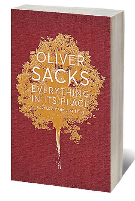 Cover of Everything in its Place: First Loves and Last Tales