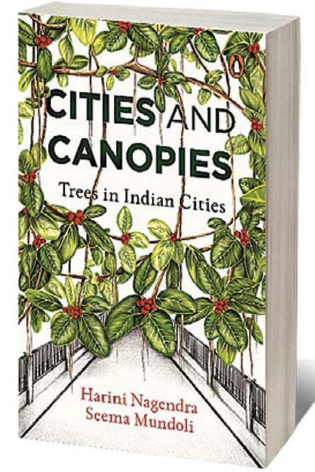 Cover of Cities and Canopies: Trees in Indian Cities