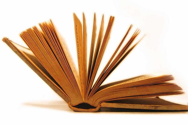 Manmatha Nath Dutt – IV Manmatha Nath Dutt – IV