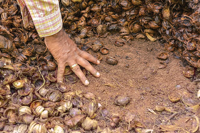 The Soil Economy The Soil Economy