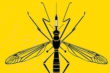 The Carrier As the Cure