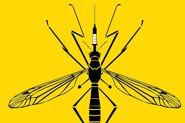 The Carrier As the Cure