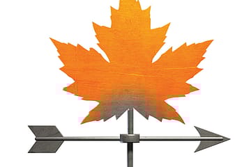 Subverting the Narrative