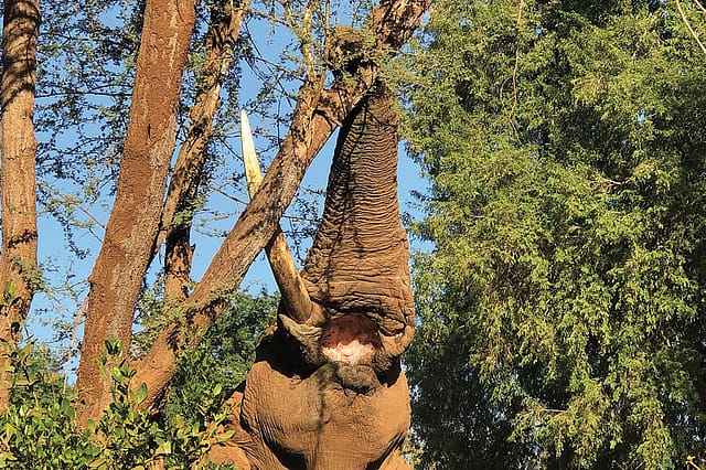 Right of Passage Right of Passage