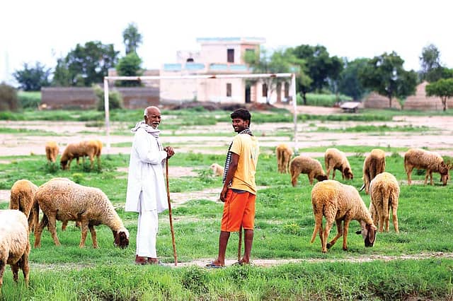 Khap Panchayat: What’s in a Surname?