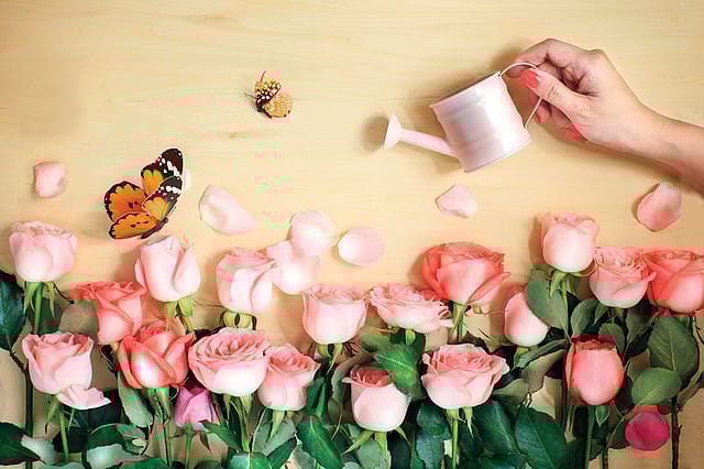 The Living Democracy