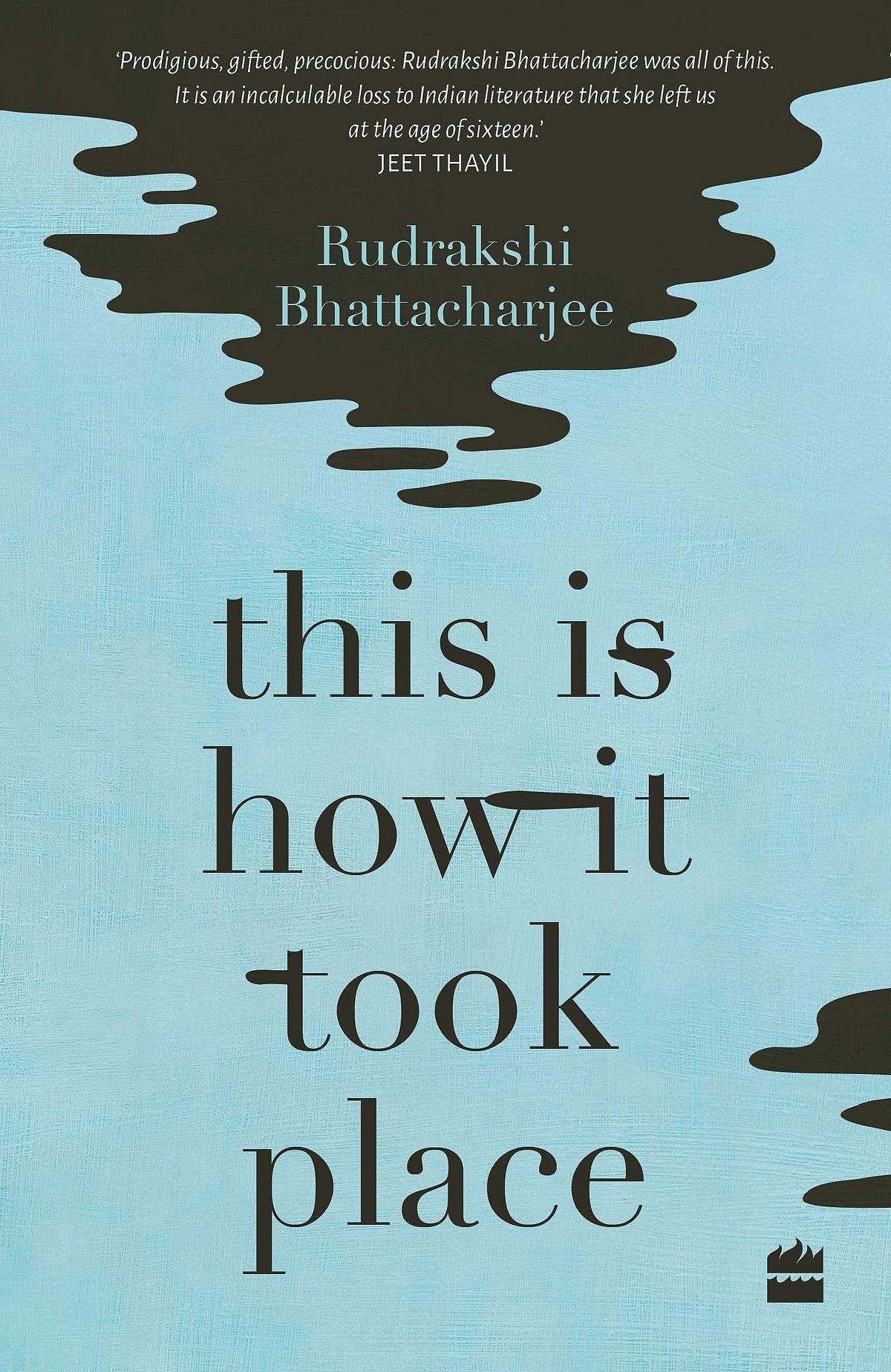 Cover of This is How it Took Place