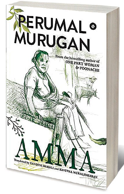 Cover of Amma