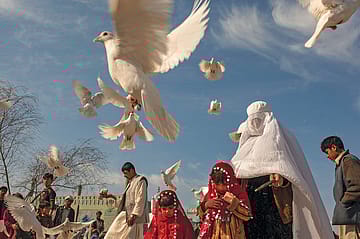 ﻿City of Contrasts