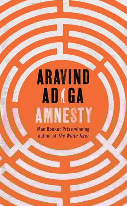 Cover of Amnesty