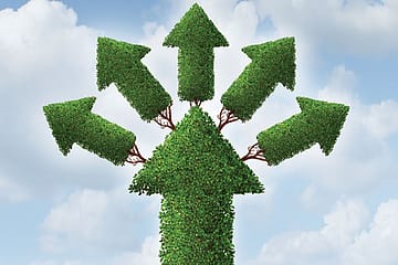 The Balance of Wealth