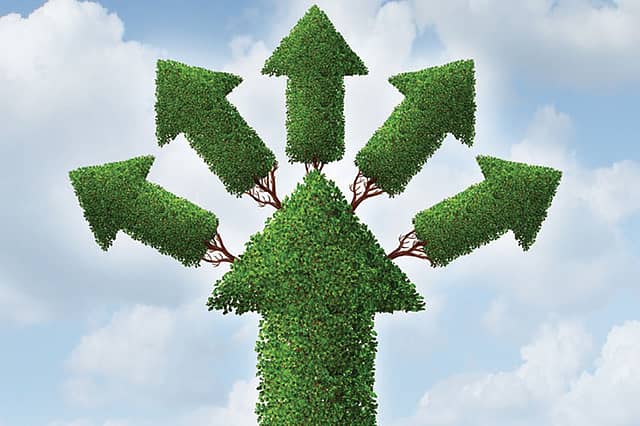 The Balance of Wealth