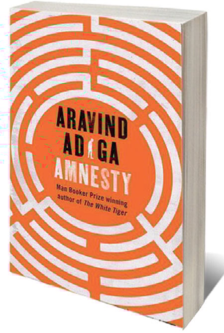 Cover of Amnesty