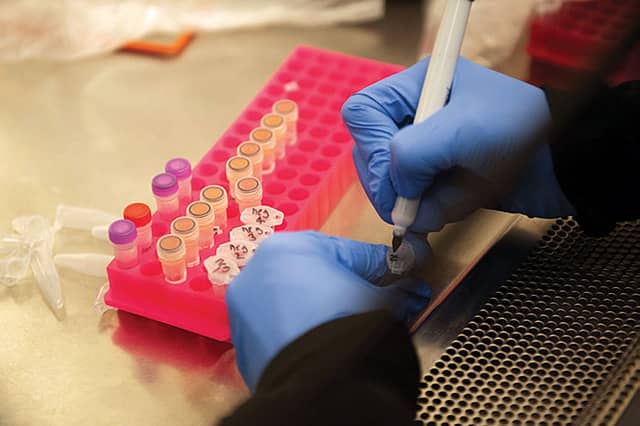 ‘The number of tests conducted so far is too low’