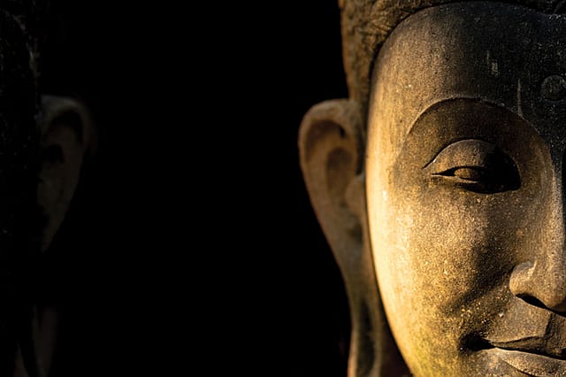 The Rewarding State of Solitude in Pandemic Times The Rewarding State of Solitude in Pandemic Times