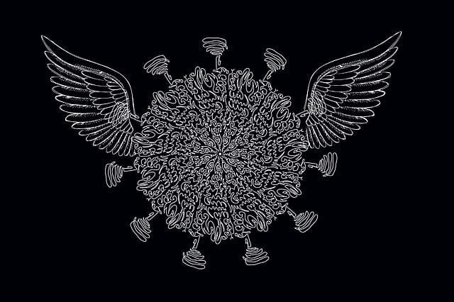 The Truth about Covid Transmission