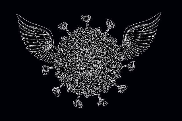 Who Will Call the End?