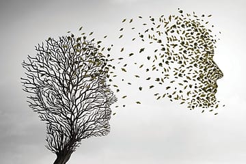 The Sense of an Ending