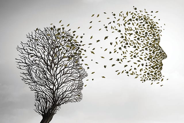 The Sense of an Ending