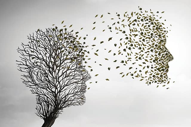 The Sense of an Ending