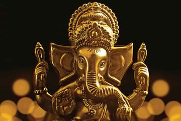 The Gold Standard: Precious Lockdown Metal