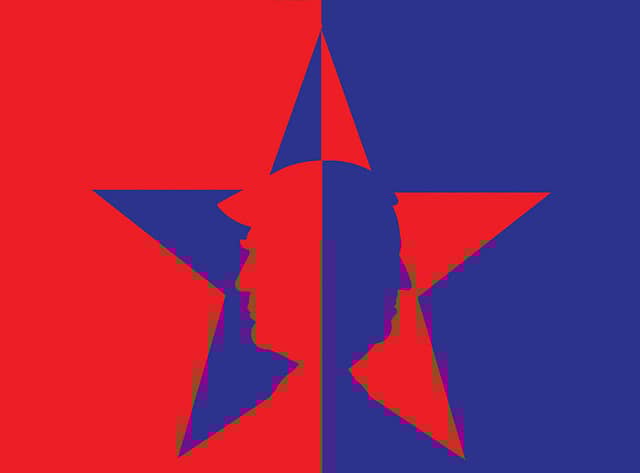 The Bitter Pill of American Democracy