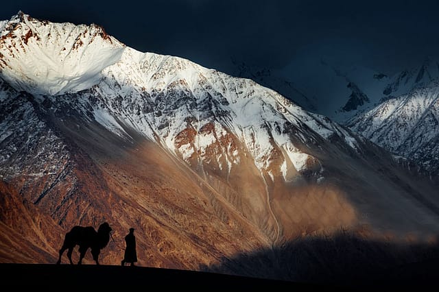 High Stakes High Stakes