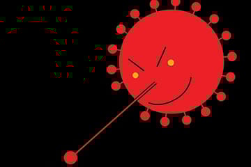 Pandemic Correctness