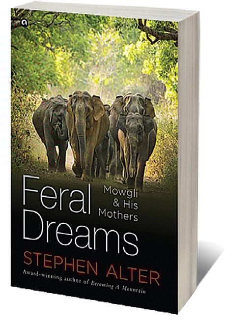 Cover of Feral Dreams: Mowgli & His Mothers