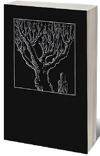 Cover of Ghosts, Monsters, and Demons of India