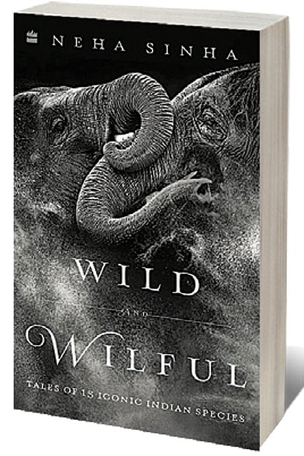 Cover of Wild and Wilful: Tales of 15 Iconic Indian Species