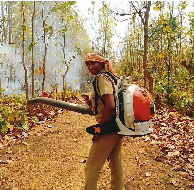 Meet the forester whose video of dancing in the rain went viral