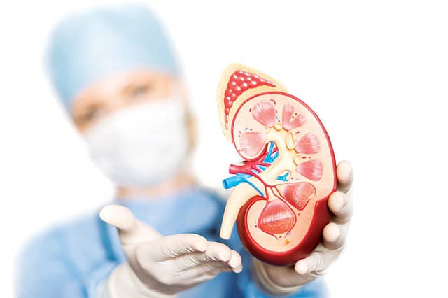 Living with end stage renal disease