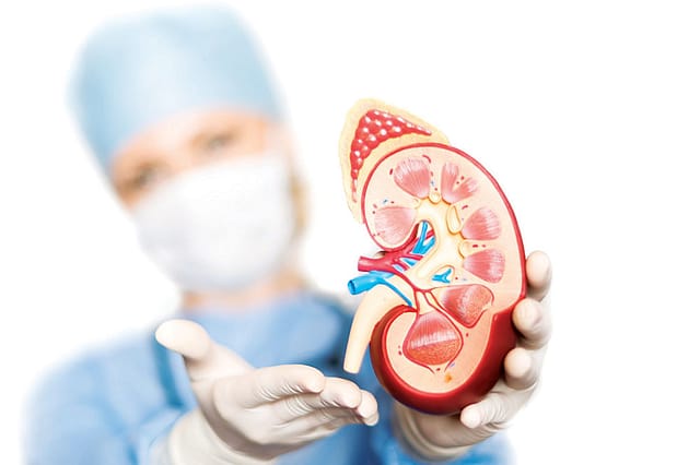 Living with end stage renal disease