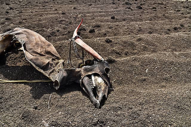 Parched Earth