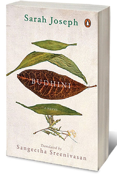 Cover of Budhini 