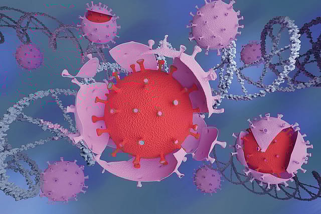 The Ironies of Covid Mutations The Ironies of Covid Mutations