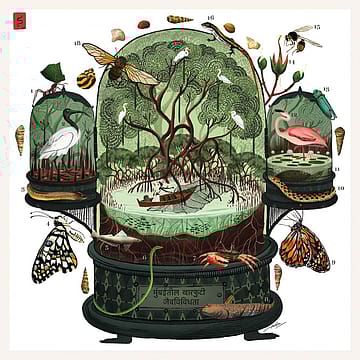 Climate Change on Canvas