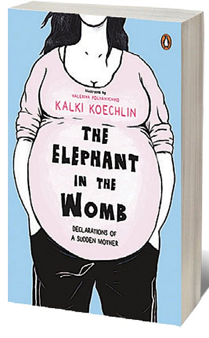 Cover of The Elephant in the Womb