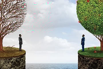 The Wealth of Ideals