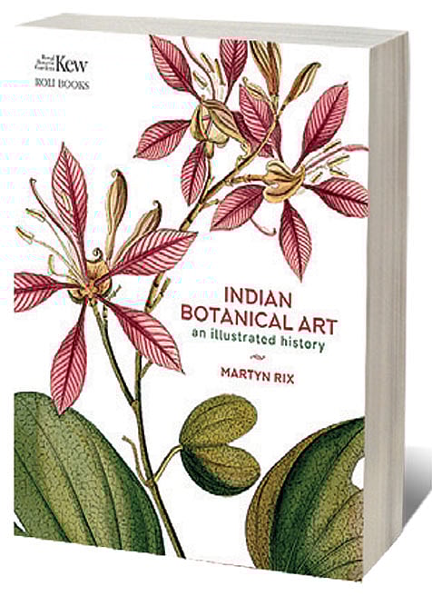 Cover of Indian Botanical Art: An Illustrated History 