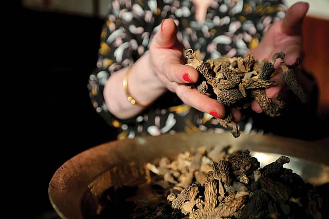 Morel Value
