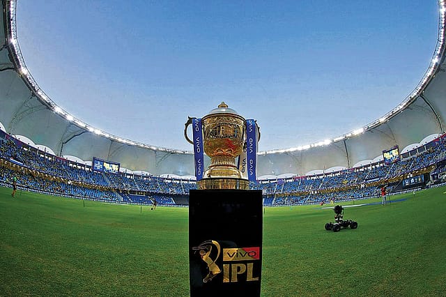 You Can’t Go Wrong with IPL