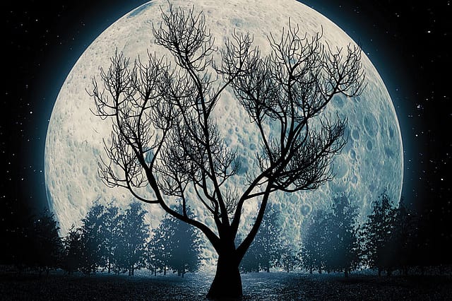 The Landscape of the Novel