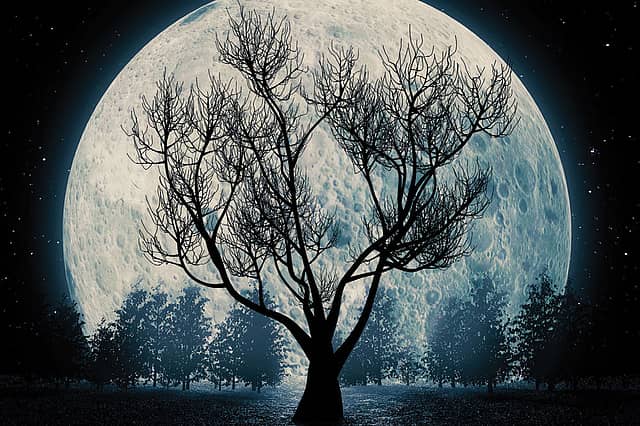 The Landscape of the Novel